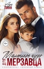 обложка книги Ада Линн "Маленькое чудо для мерзавца"