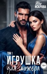 обложка книги Ира Искрова "Игрушка для мажора 1"