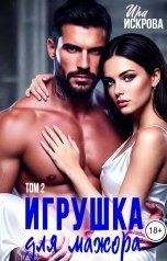 обложка книги Ира Искрова "Игрушка для мажора 2"