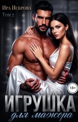 обложка книги Ира Искрова "Игрушка для мажора 2"