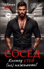 обложка книги Аврора Макс "Сосед. Кнопку СТОП не нажимать!"