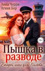 обложка книги Анна Черри, Агния Бор "Пышка в разводе. Второй шанс для Пилота!"