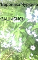 обложка книги Вероника Чуркина "Зашибись!"