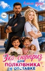 обложка книги Амели Нуар "ЭКО-сюрприз для полковника в отставке"