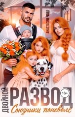 обложка книги Анастасия Ридд "Двойной развод. Союзники поневоле"