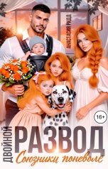 обложка книги Анастасия Ридд "Двойной развод. Союзники поневоле"