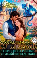 обложка книги Анна Айдарова "Практикум для дракона (принцесса и иные стихийные бедствия)"
