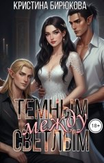 обложка книги Кристина Бирюкова "Между темным и светлым"
