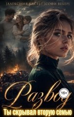 обложка книги Софи Вебер, Алексия Каст "Развод. Ты скрывал вторую семью"