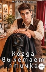 обложка книги Мира Айрон "Когда вылетает птичка"