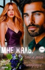обложка книги Лу Берри "Мне жаль, что я тебя отпустил"