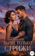обложка книги Елена Лабрус "Выше только стрижи"