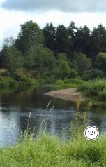 обложка книги Sergey Buvakin "Современная русская поэзия"