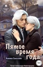 обложка книги Анюта Соколова "Пятое время года"