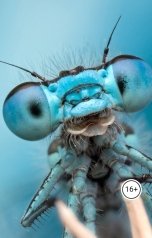 обложка книги tjarvjaa "Сутки для мести"