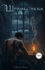 обложка книги Габриэль Сегула "Шрамы неба"