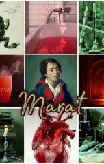 обложка книги Anna  Raven "Марат (готовый проект)"