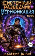 обложка книги Валерий Юрич "Системный разведчик. Верификация. Том 6"