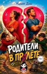 обложка книги Мирьям Дива "Родители в пролёте"