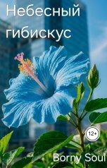 обложка книги Borny Soul "Небесный гибискус"
