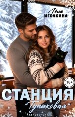 обложка книги Лёля Иголкина "Станция "Тупиковая". Аудиоверсия"