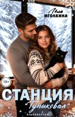 обложка книги Лёля Иголкина "Станция "Тупиковая". Аудиоверсия"