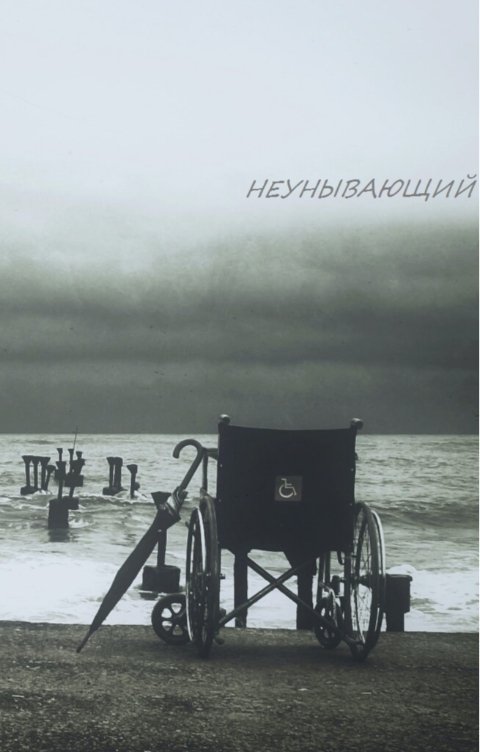 Обложка книги imoryak НЕУНЫВАЮЩИЙ