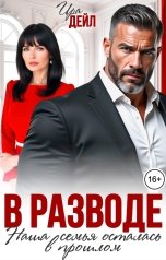 обложка книги Ира Дейл "В разводе. Наша семья осталась в прошлом"