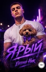 обложка книги Евгения Ник "Ярый"
