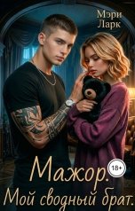 обложка книги Мэри Ларк "Мажор. Мой сводный брат"