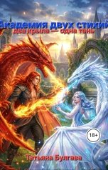 обложка книги Татьяна Булгава "Академия двух стихий"