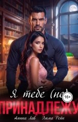 обложка книги Амина Лав, Эмма Рейн "Я тебе (не) принадлежу"
