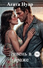 обложка книги Агата Нуар "Ливень в гараже"