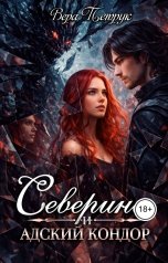 обложка книги Вера Петрук "Северина и Адский Кондор"