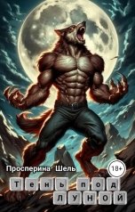 обложка книги Просперина Шель "Тень под луной"