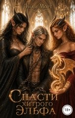 обложка книги Энди Морт "Спасти хитрого эльфа"