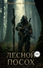 обложка книги Владимир Пайлодзе "Лесной Посох."