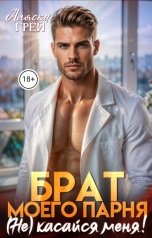 обложка книги Аляска Грей "Брат моего парня. (Не) касайся меня!"