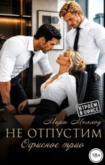 обложка книги Марш Меллоу "Не отпустим"