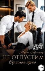 обложка книги Марш Меллоу "Не отпустим"