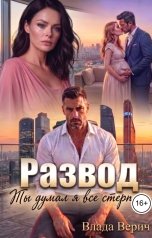 обложка книги Влада Верич "Развод. Ты думал я всё стерплю"