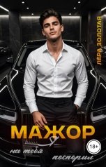 обложка книги Лера Золотая "Мажор. Я на тебя поспорил"