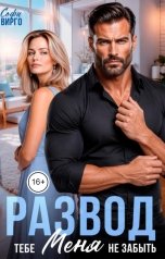 обложка книги Софи Вирго "Развод. Тебе меня не забыть"