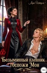 обложка книги Лера Шторм "Безымянный пленник госпожи Мон"