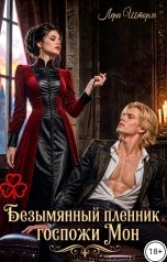 обложка книги Лера Шторм "Безымянный пленник госпожи Мон"