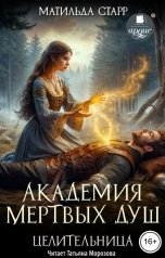 обложка книги Матильда Старр "Академия мертвых душ. Целительница"