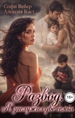 обложка книги Софи Вебер, Алексия Каст "Развод. Я заслужил две семьи"