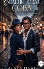 обложка книги Агата Нуар "Селенитовая сова"