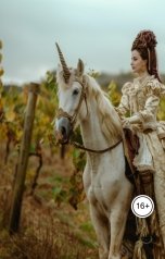 обложка книги ckifanca "Герцогиня де Шеврез - мадам -интрига"