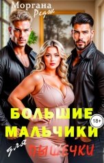 обложка книги Моргана Редж "Большие мальчики для пышечки"
